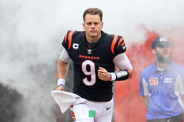 Bengals' Joe Burrow wants to play for the U.S. flag football at the 2028 Los Angeles Olympics