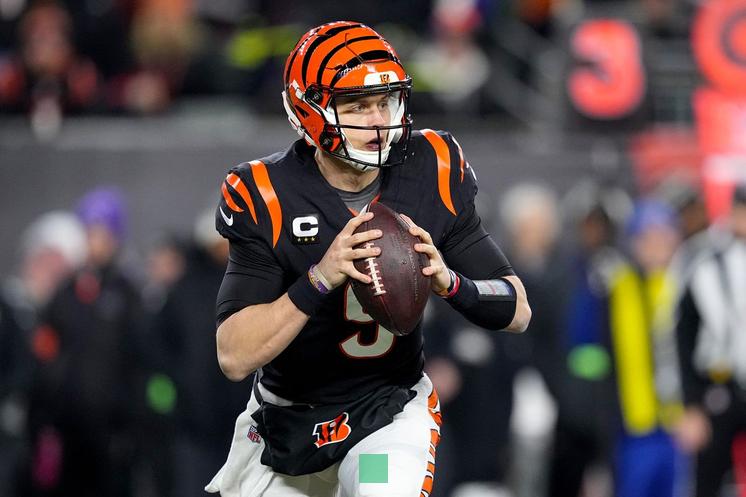 Bengals' Joe Burrow wants to play for the U.S. flag football at the 2028 Los Angeles Olympics